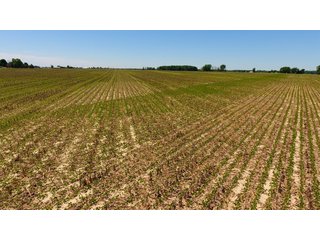 Property photo 15 - LAND AUCTION - 472+/- ACRES IN 7 TRACTS IN GRANT COUNTY, INDIANA